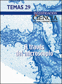 2002 A Traves Del Microscopio